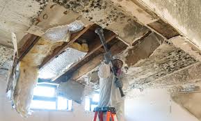 Best Residential Mold Inspection & Testing  in Shannondale, WV